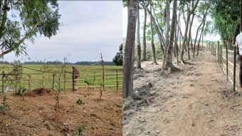 বড়লেখায় ৫০ বছরের পুরোনো রাস্তা বাঁশের বেড়া দিয়ে বন্ধের অভিযোগ, অবরুদ্ধ ৫ পরিবার