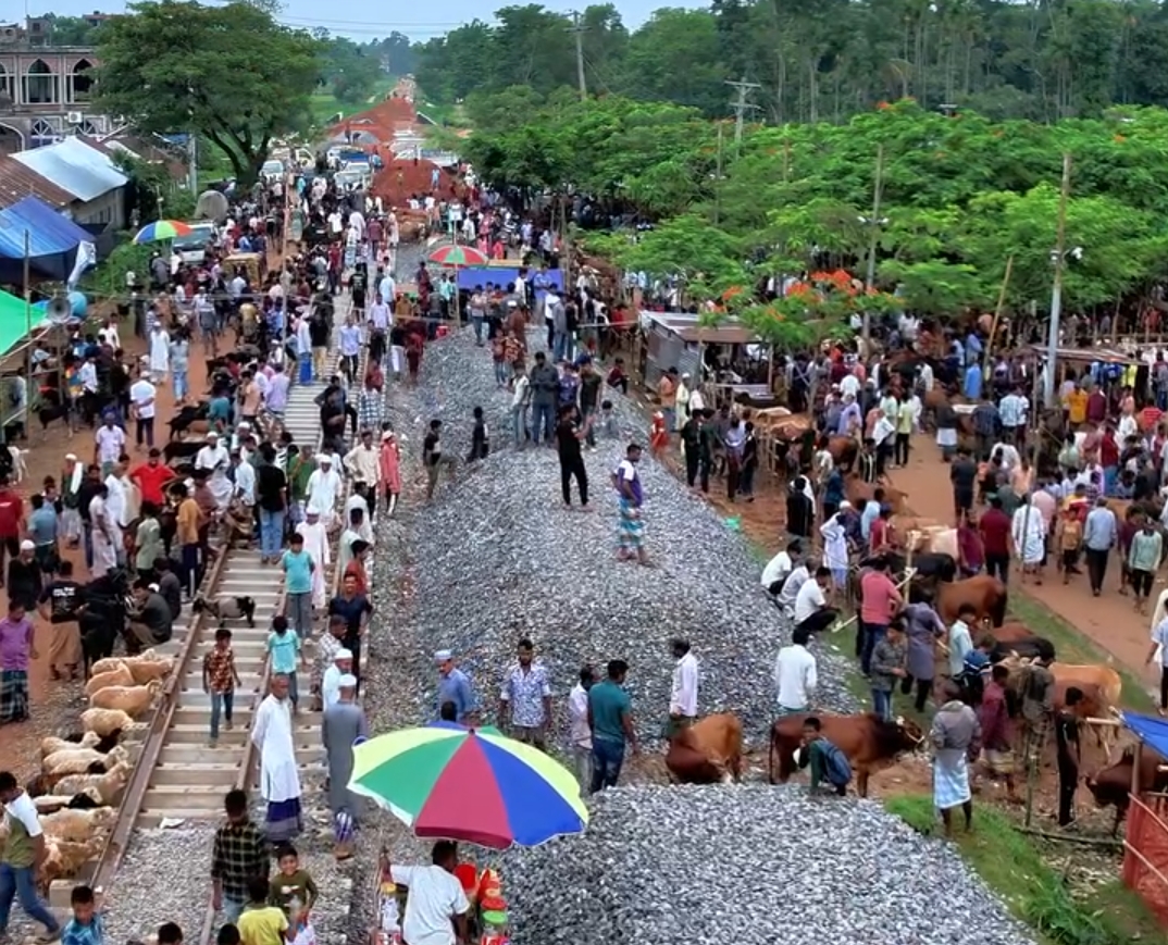 সবুজে ঘেরা বড়লেখার হাজীগঞ্জ পশুর হাট: ক্রেতা-বিক্রেতার উপচে পড়া ভিড়, তবে নেই প্রাণিসম্পদ বিভাগের তদারকি
